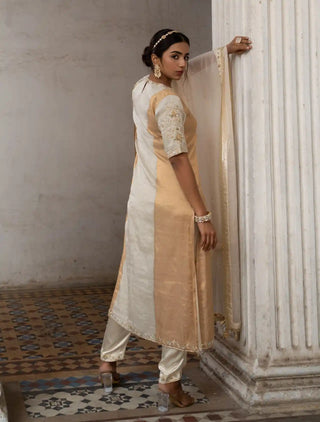 Light silver and gold zari kurta set