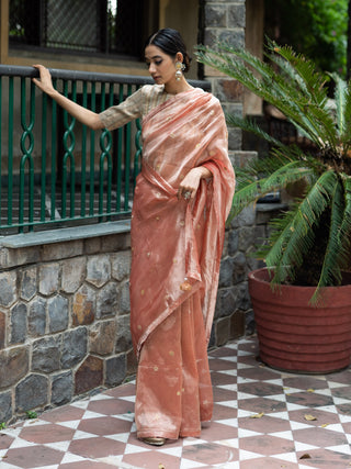 Blush pink embroidered tissue silk saree with blouse