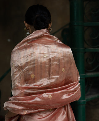 Blush pink embroidered tissue silk saree with blouse