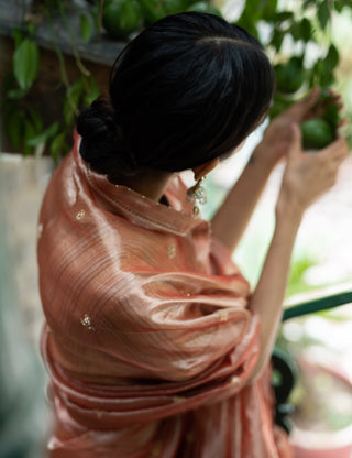 Blush pink embroidered tissue silk saree with blouse