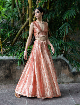 Blush pink embroidered kalli lehenga set