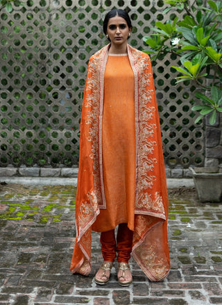 Rust orange straight kurta set