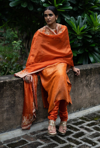 Rust orange straight kurta set