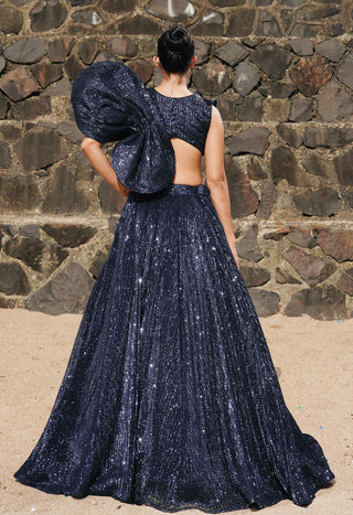 Blue applique lehenga and blouse