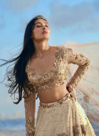 Gold embroidered lehenga set