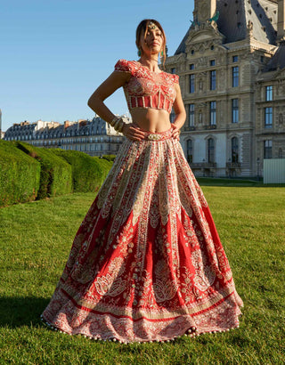 Red embroidery silk lehenga set