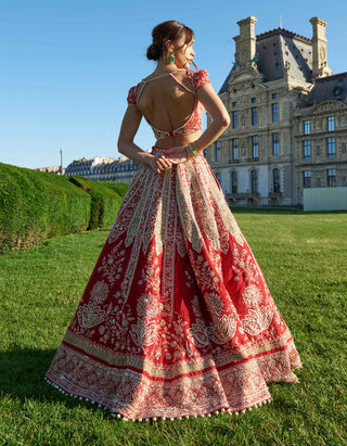 Red embroidery silk lehenga set