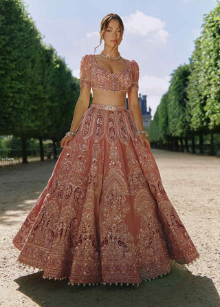 Mauve embroidered lehenga set