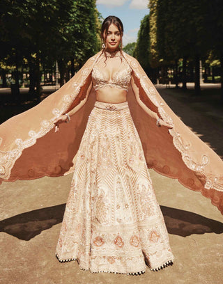 Rust and beige lehenga set