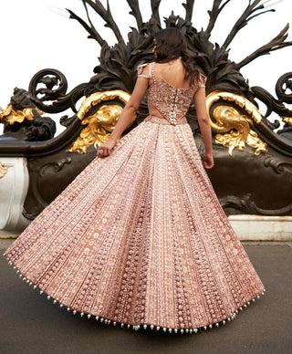 Brown caramel lehenga set