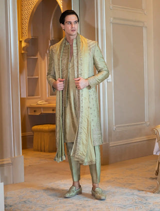 Olive oleander sherwani set