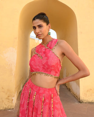 Veda rani pink lehenga set