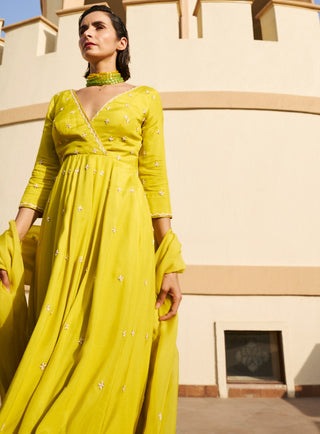 Lime kali anarkali and palazzo set