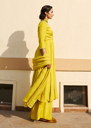 Lime kali anarkali and palazzo set