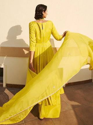 Lime kali anarkali and palazzo set