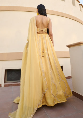 Yellow embroidered lehenga set