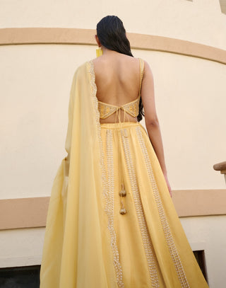 Yellow embroidered lehenga set