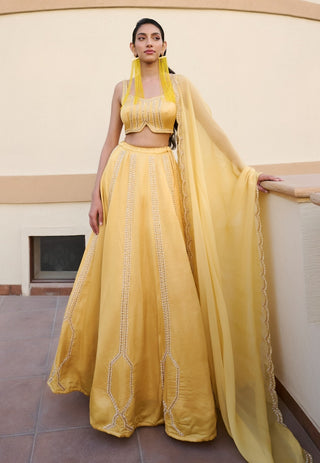 Yellow embroidered lehenga set