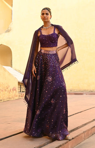 Ara purple lehenga set