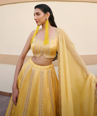 Yellow embroidered lehenga set