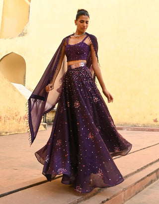 Ara purple lehenga set