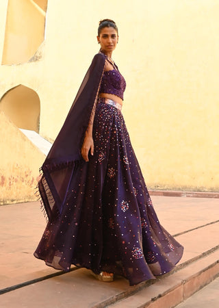 Ara purple lehenga set