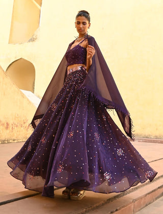 Ara purple lehenga set