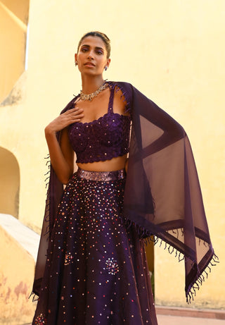 Ara purple lehenga set