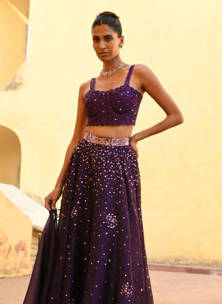 Ara purple lehenga set