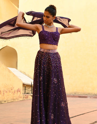 Ara purple lehenga set