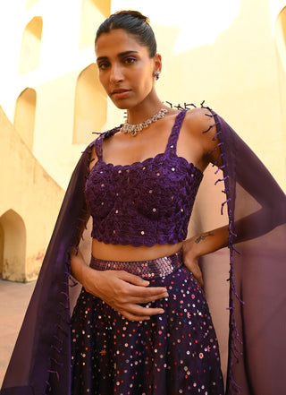 Ara purple lehenga set