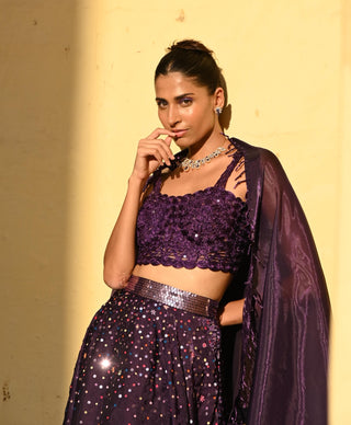 Ara purple lehenga set