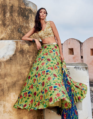 Shanaya green lehenga set