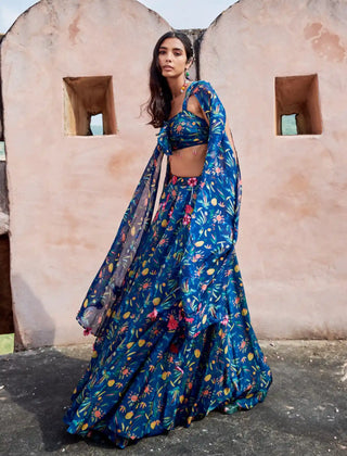 Bella blue lehenga and blouse