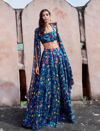 Bella blue lehenga and blouse