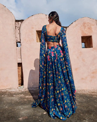 Bella blue lehenga and blouse