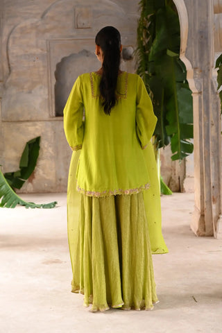 Green hand embrodiered short kurta set