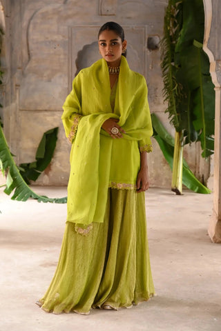 Green hand embrodiered short kurta set