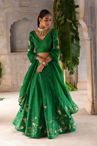 Dark green hand embroidered lehenga set