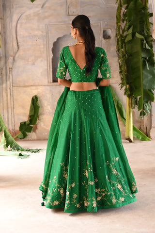 Dark green hand embroidered lehenga set