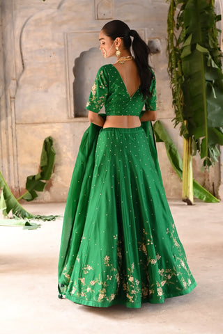 Dark green hand embroidered lehenga set