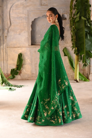 Dark green hand embroidered lehenga set