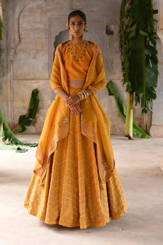 Yellow hand embroidered lehenga set