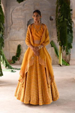 Yellow hand embroidered lehenga set