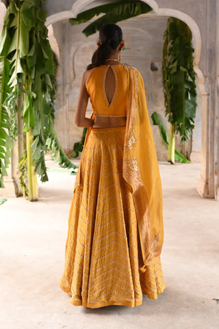 Yellow hand embroidered lehenga set