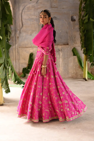 Pink hand embroidered Lehenga Set