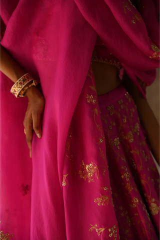 Pink hand embroidered Lehenga Set