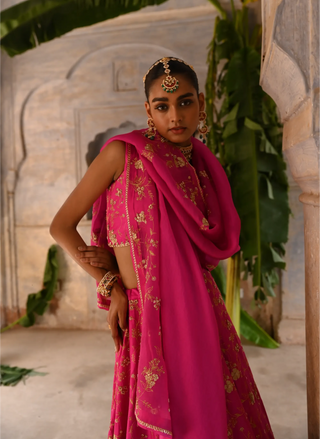 Pink hand embroidered Lehenga Set