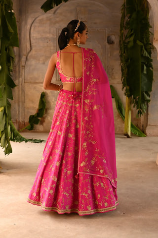 Pink hand embroidered Lehenga Set