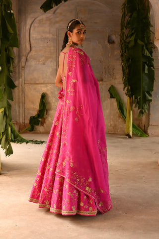 Pink hand embroidered Lehenga Set